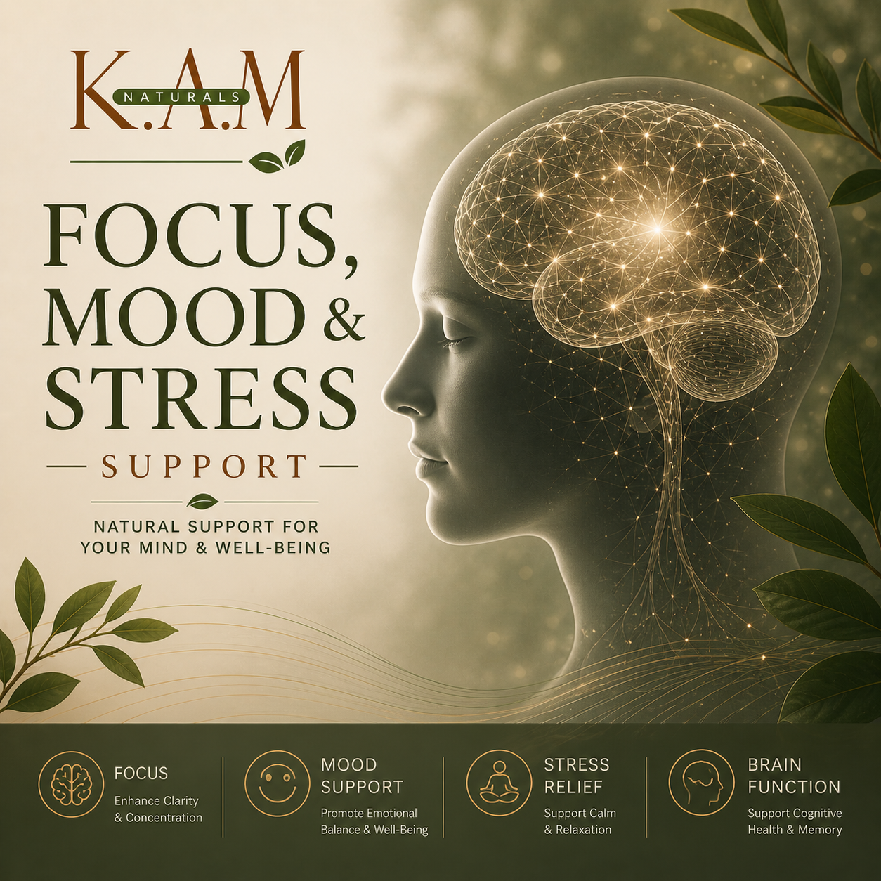 Focus, Mood & Stress Support