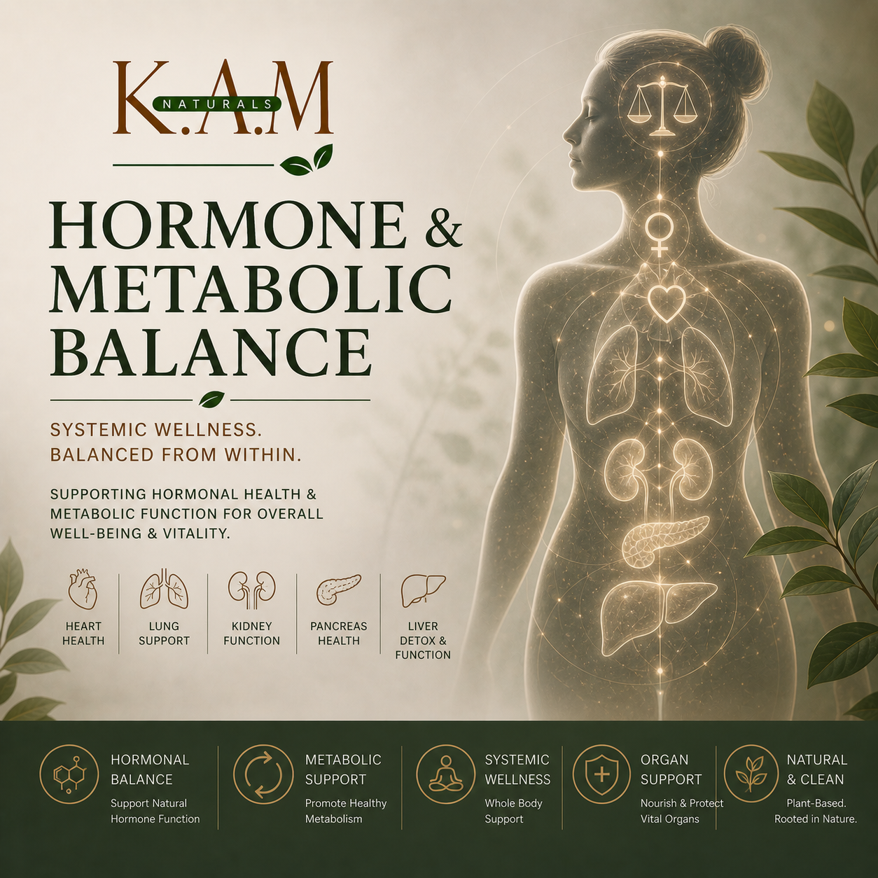 Hormone & Metabolic Balance