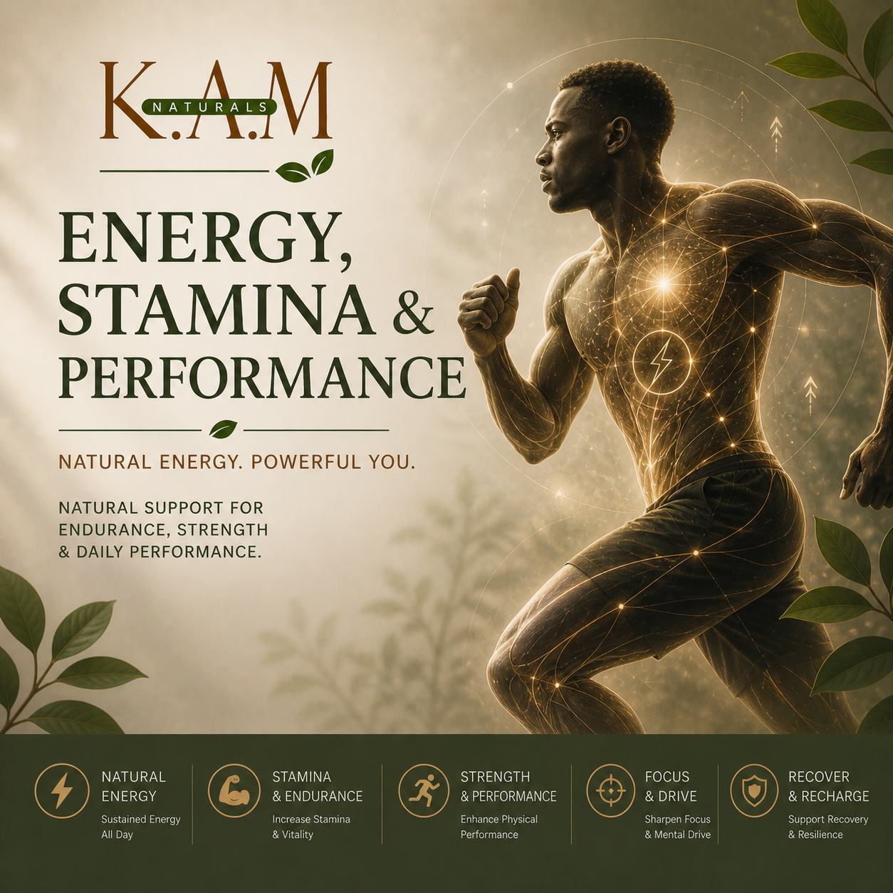 Energy, Stamina & Performance
