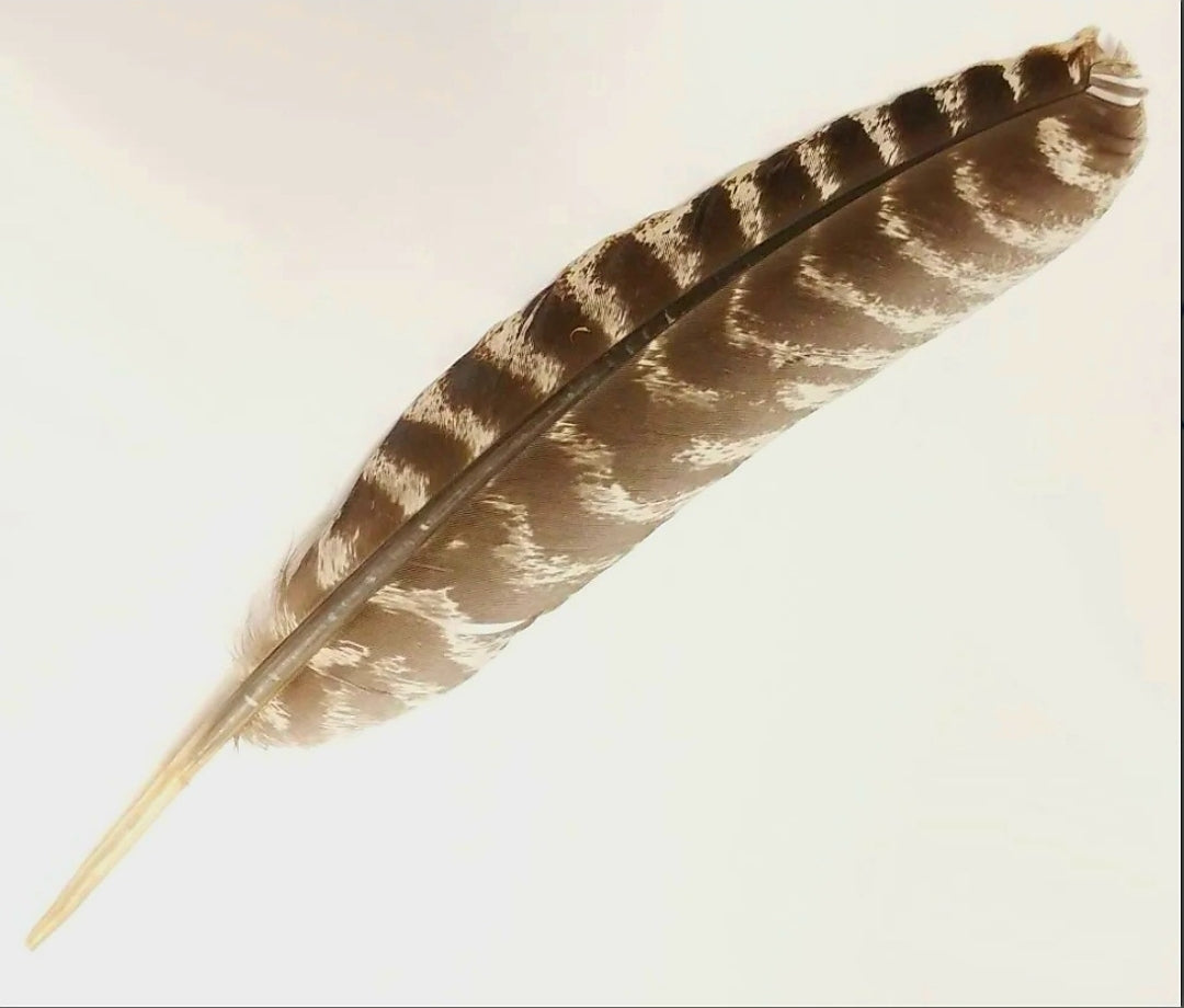 Smudge Feathers
