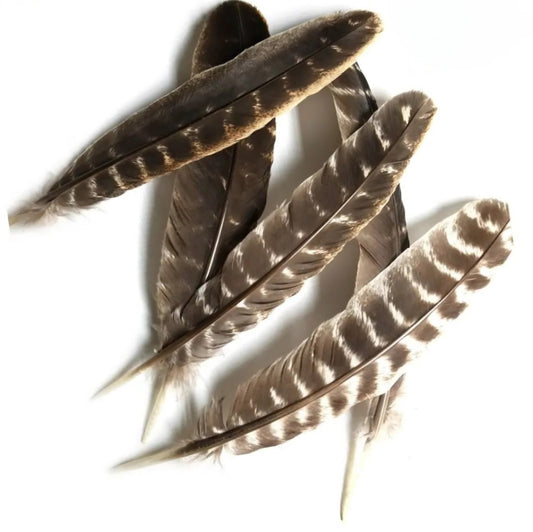 Smudge Feathers