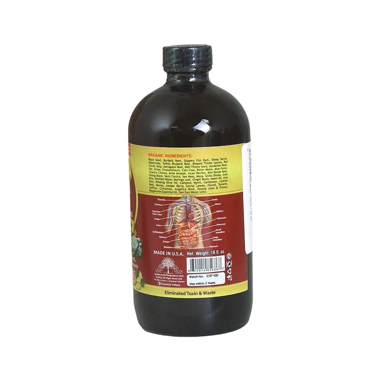 Black Seed Living Bitters with  Aloe Vera for Detox, Gut Health & Immune Support | Herbal Liquid Supplement - 16oz